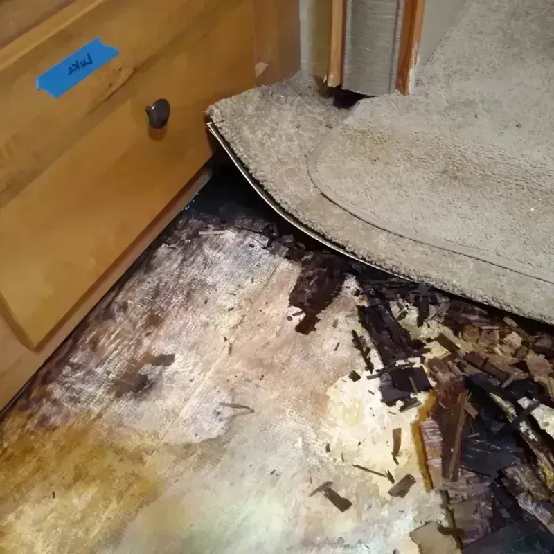 Wood Floor Water Damage in Middletown, MD